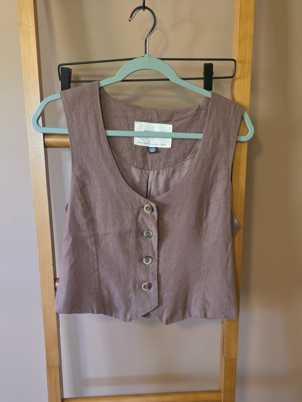 American Eagle Outfitters Mauve Button-Front Crop Top